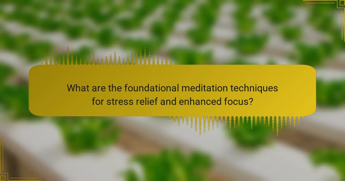 What are the foundational meditation techniques for stress relief and enhanced focus?