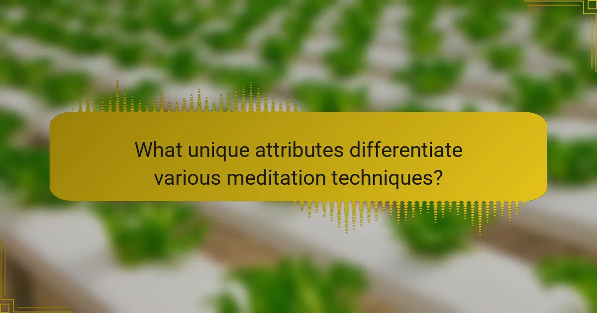 What unique attributes differentiate various meditation techniques?
